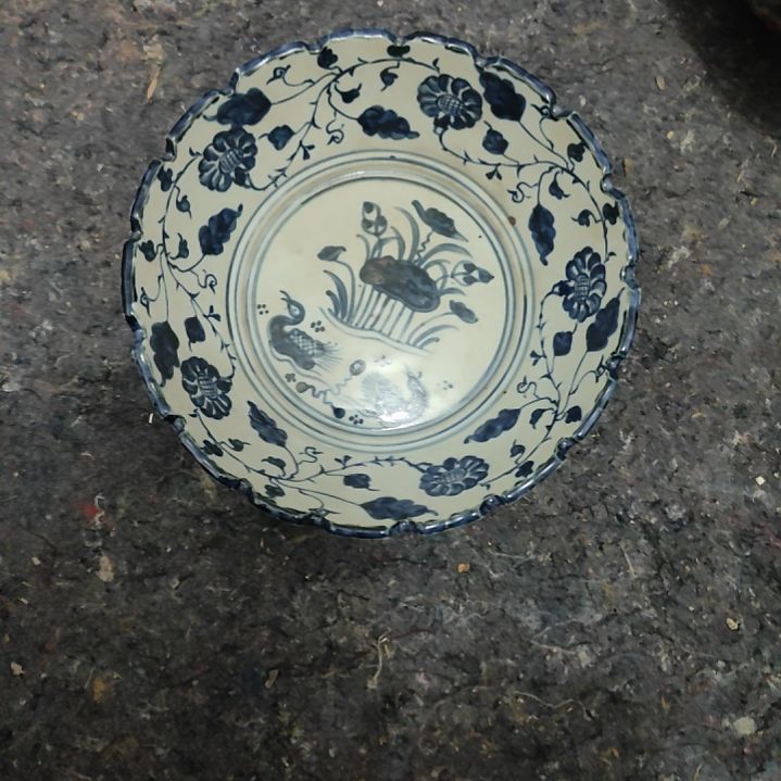 桐**宝好好好好好好好好好