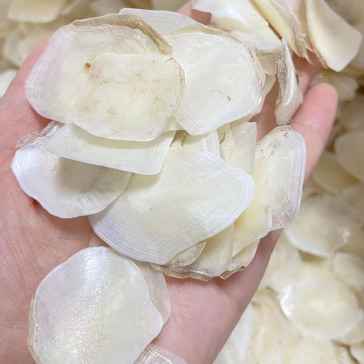 H  裕初 鱼鳞50g 煲汤 煮水 干货 广东汕头