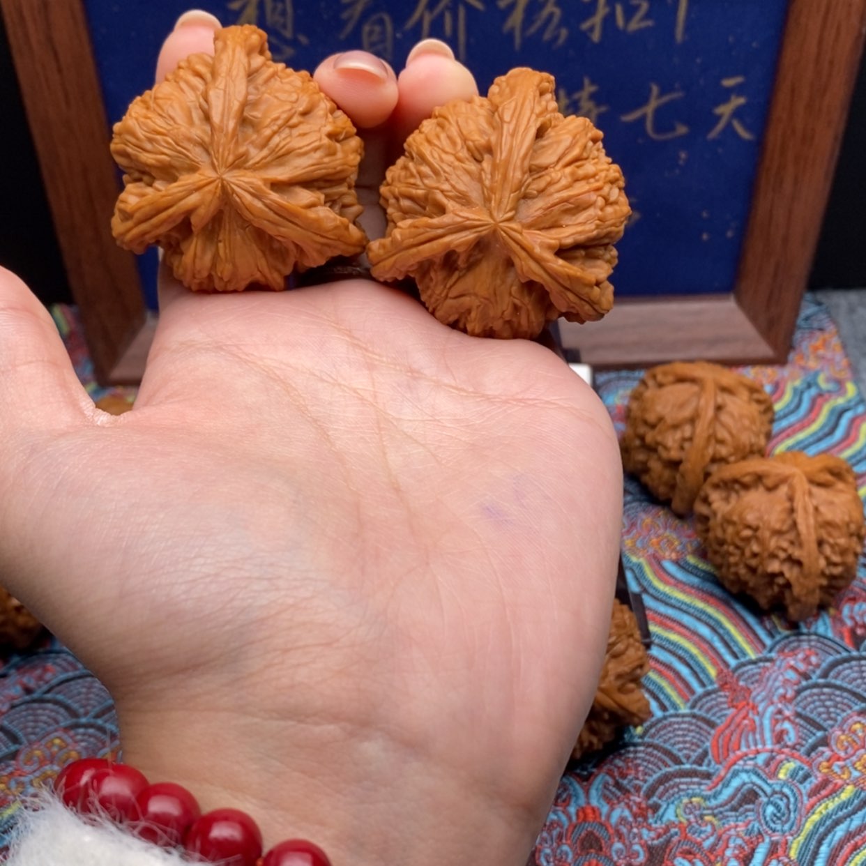 【闪购商品】时**人白狮