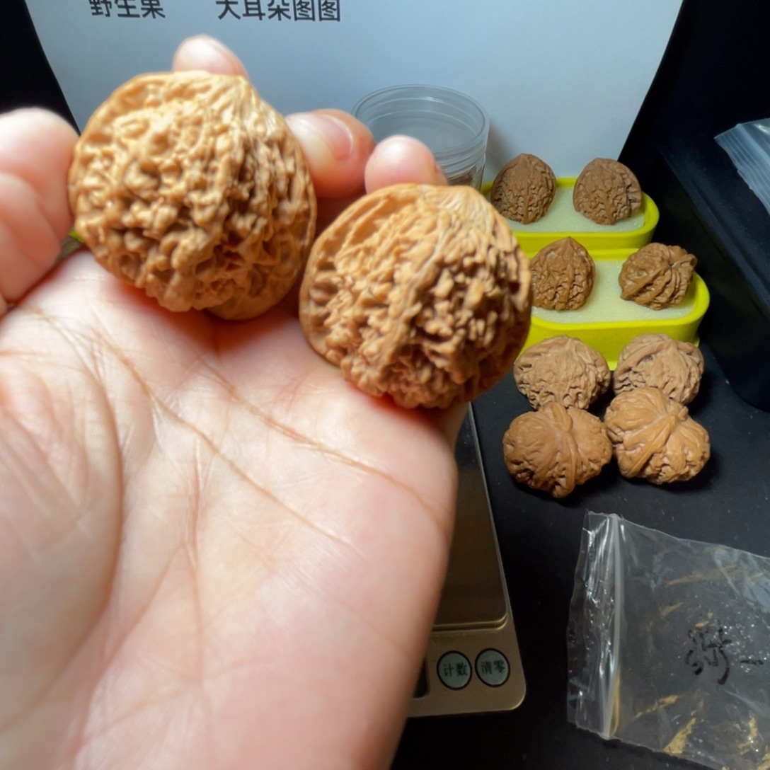 桃核把件满天星核桃11111