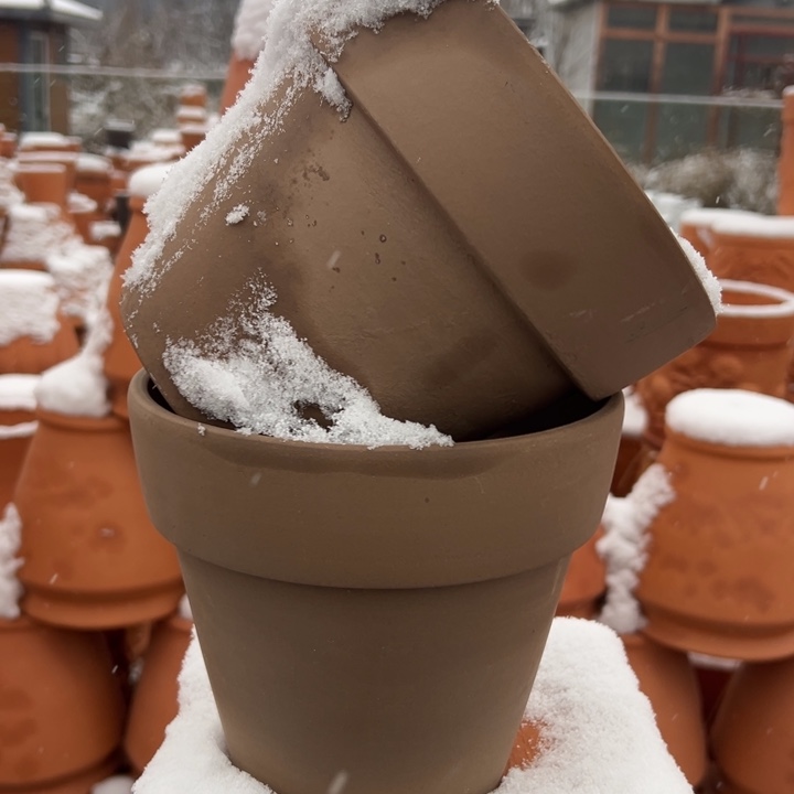 20×17 两个高温摩卡