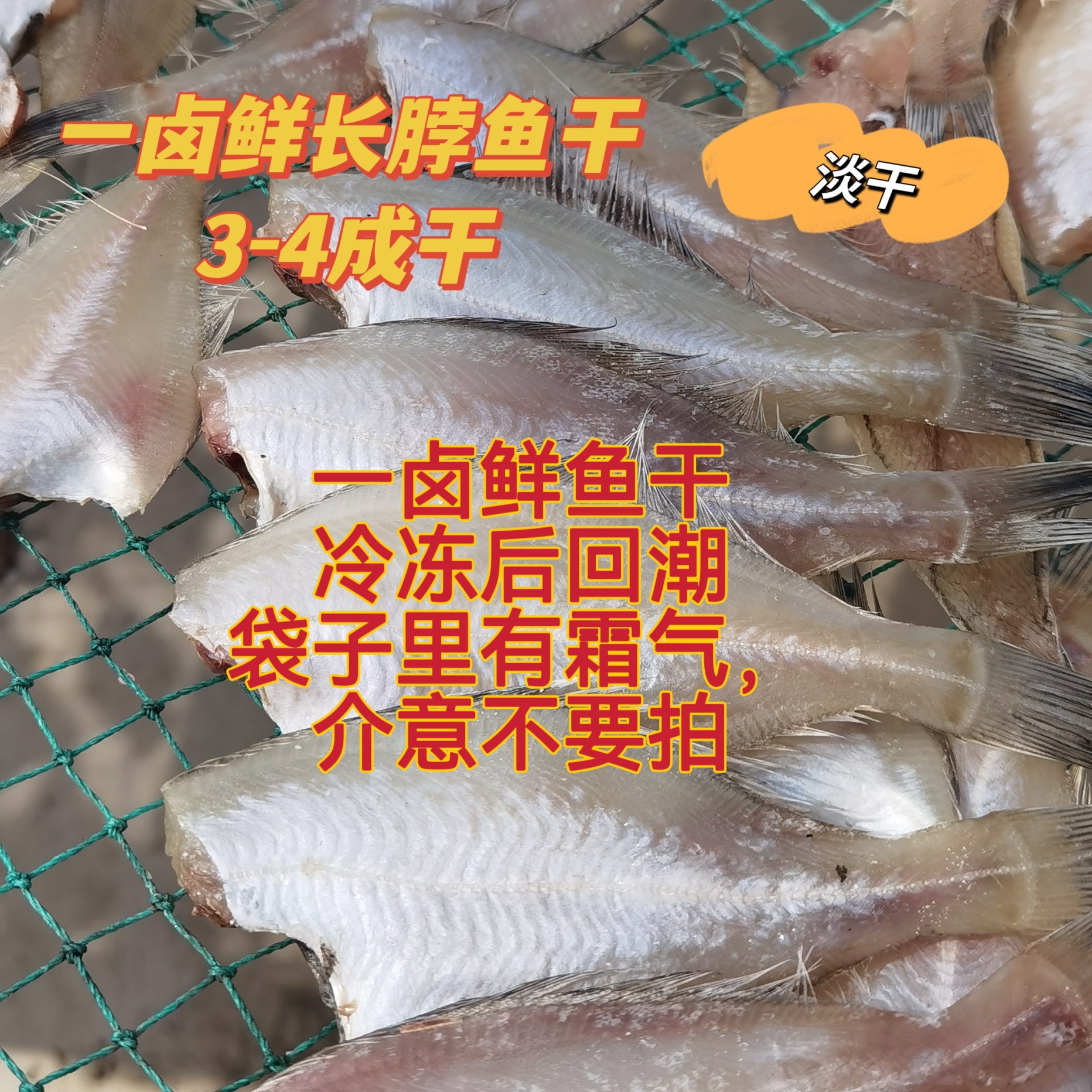 【威海玲姐】长脖鱼干偏口鱼干一卤鲜淡干4成干介意干湿度不要拍