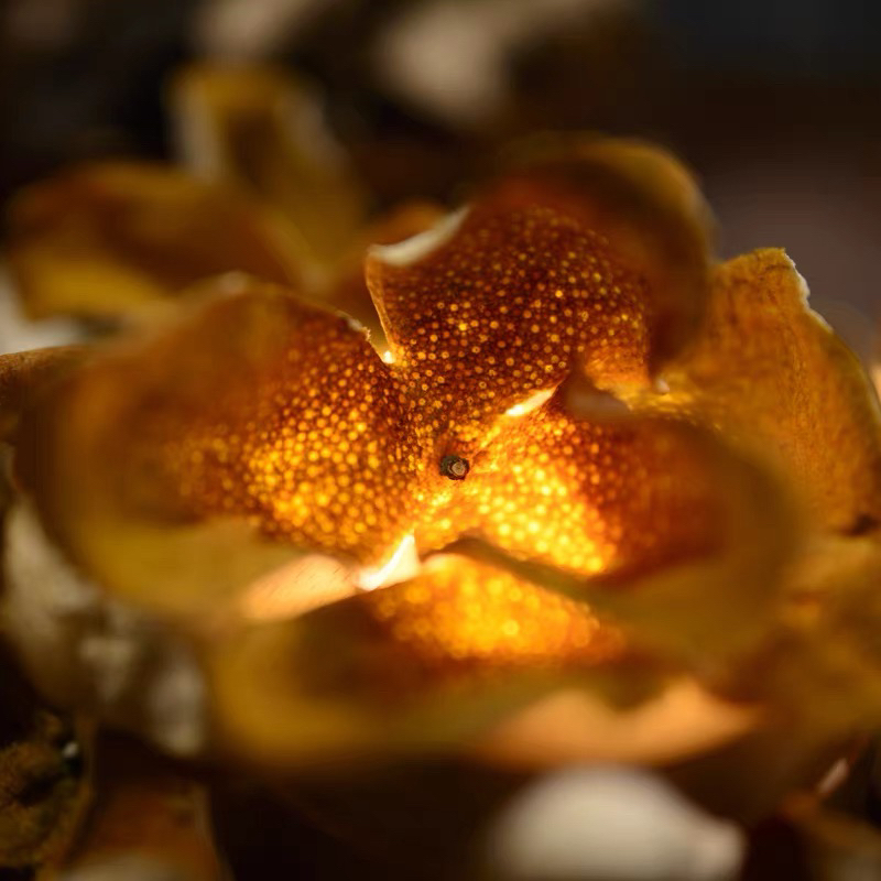 （4号助农链接）以直播间展示为主【广西浦北茶枝柑】源头厂商