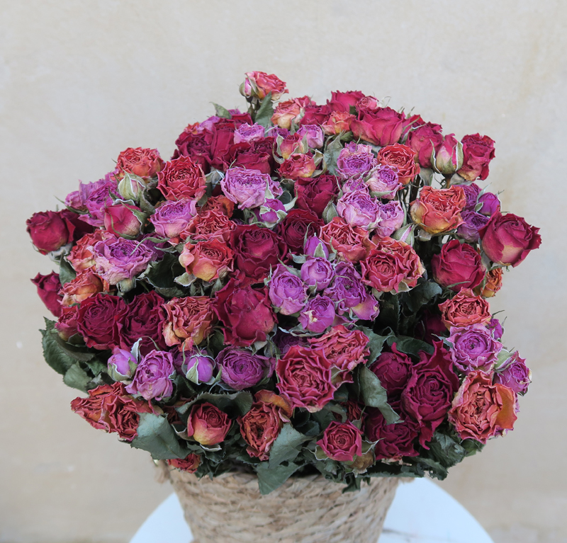  玫瑰干花花束：多头玫瑰混搭