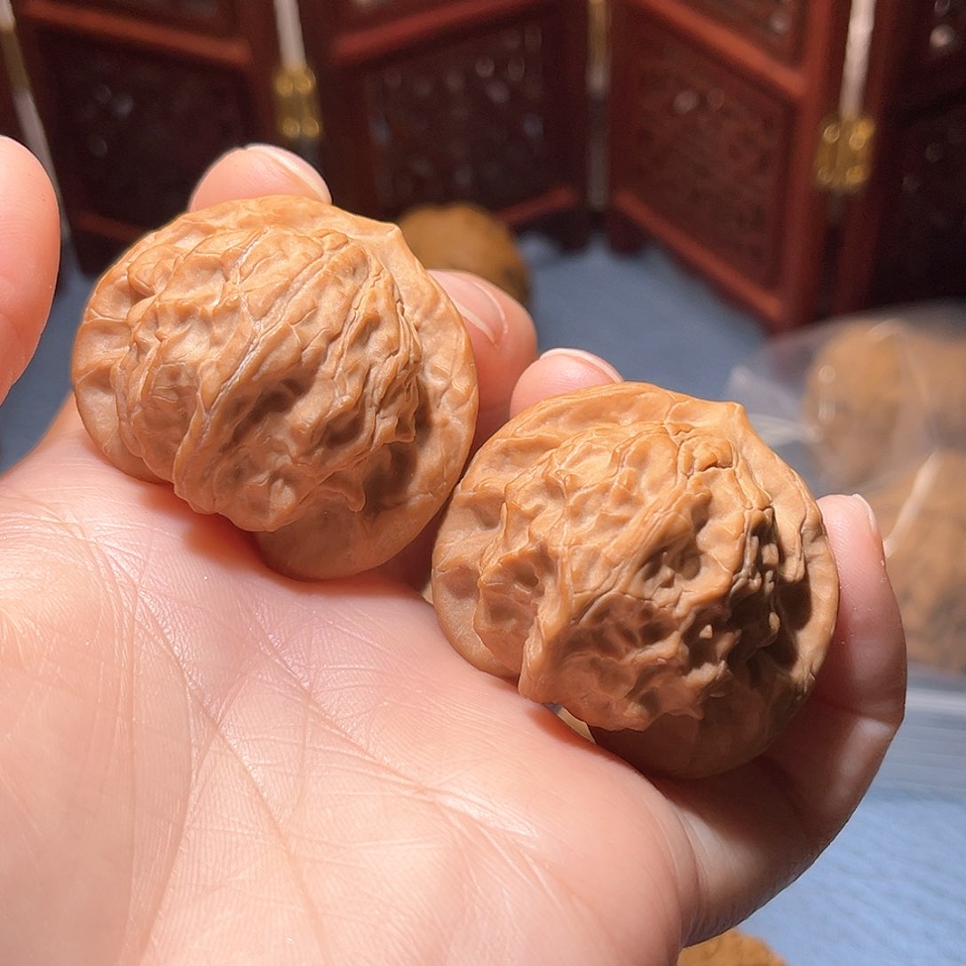 40全品图图……精品