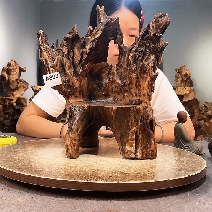 1***人803株木随行的小根艺