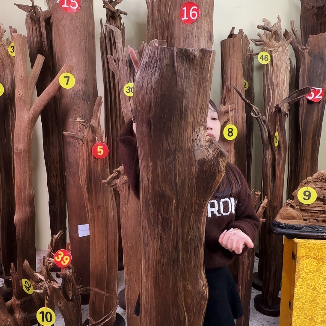 沉香沉香碎屑天然沉香原材料香料熏料