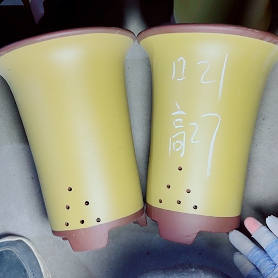 红陶紫砂紫砂紫砂