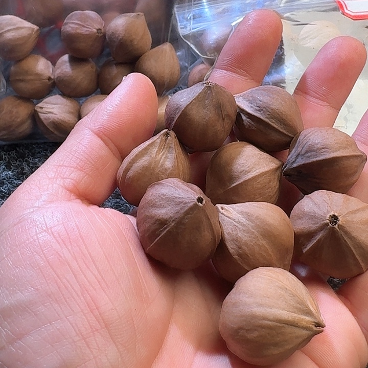 吊坠橄榄核南***意2.6❌2.8