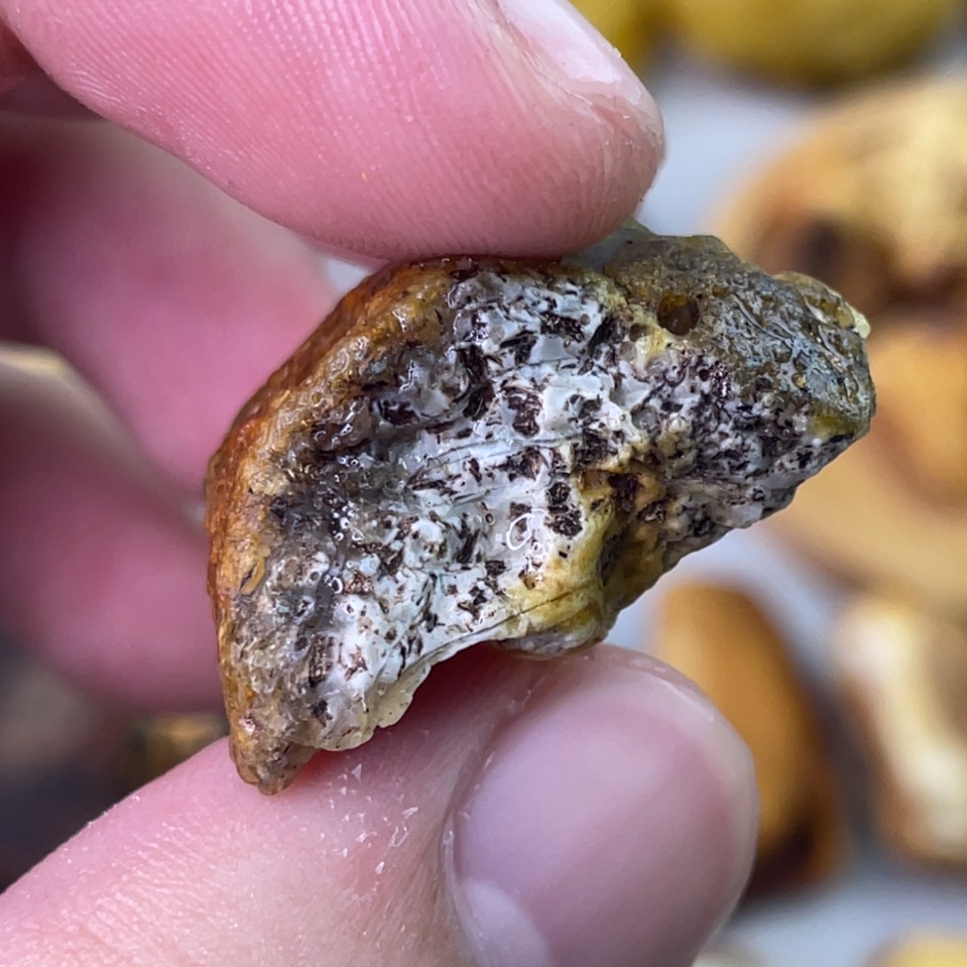 定制琥珀天然琥珀奥利奥拉丝11老型