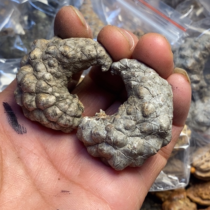 吊坠桃核东北特产50