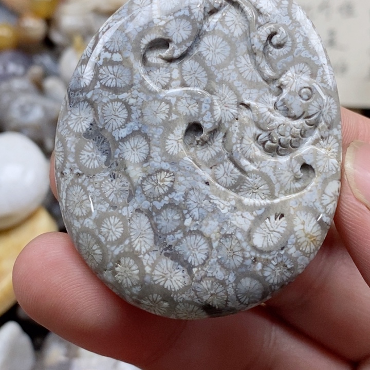 颈饰未镶嵌硅化珊瑚（珊瑚玉）
