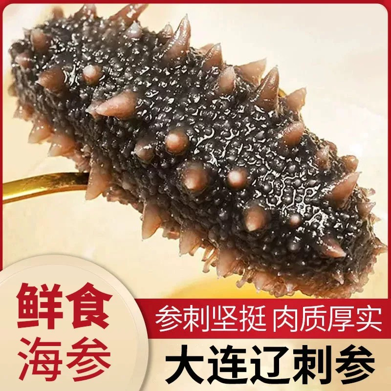 【袋装一斤】大连即食海参一包约30-50根（小头）