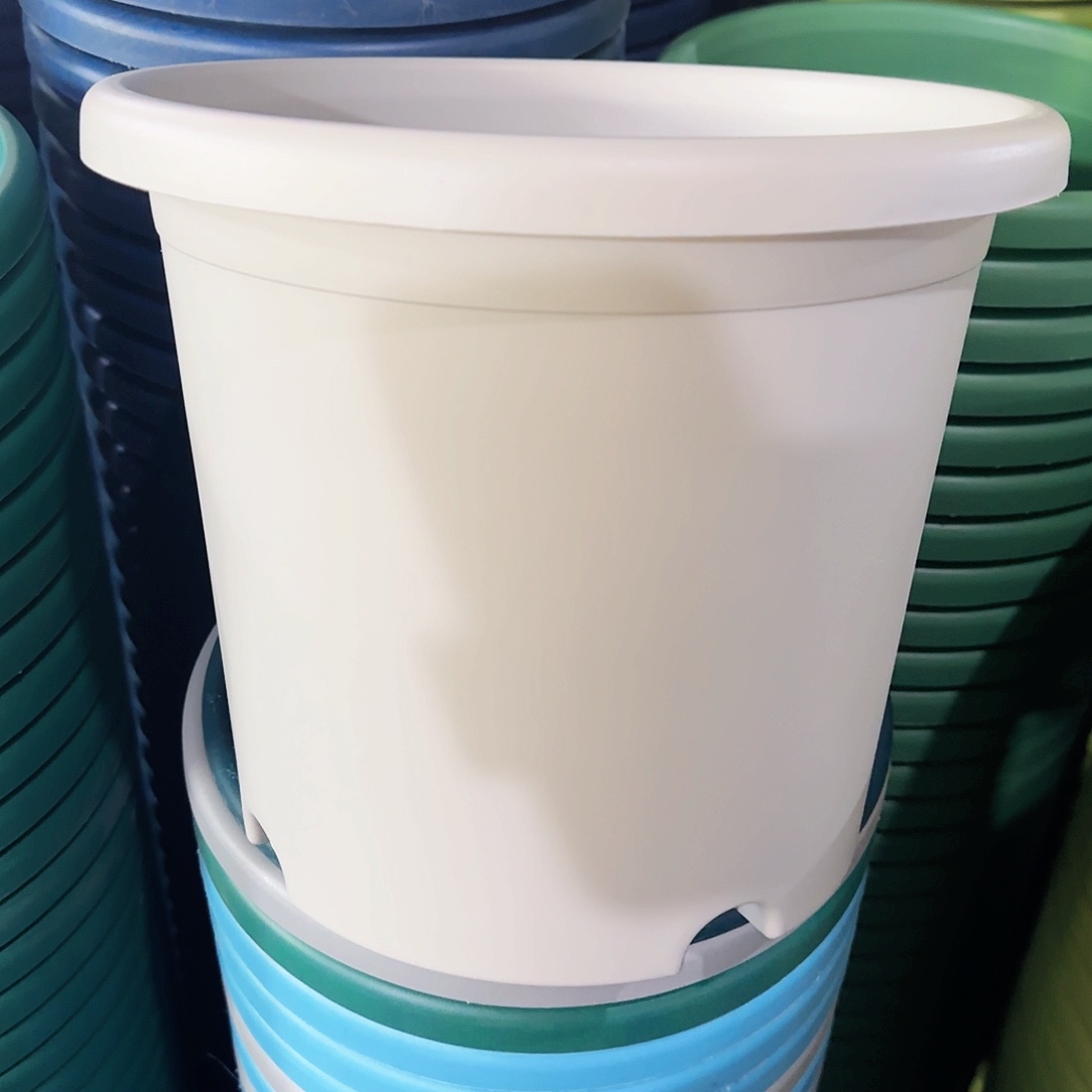 树脂特价4#无拖灰白8个