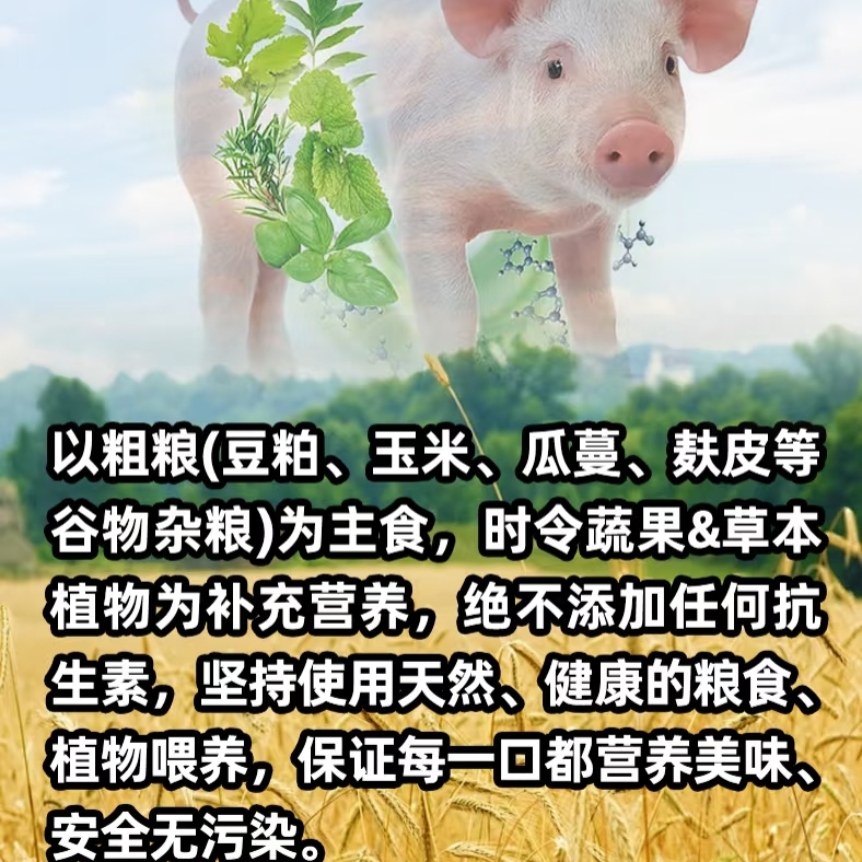 土猪肉笨猪肉新鲜现现场称重一物一拍丨顺丰空运包邮