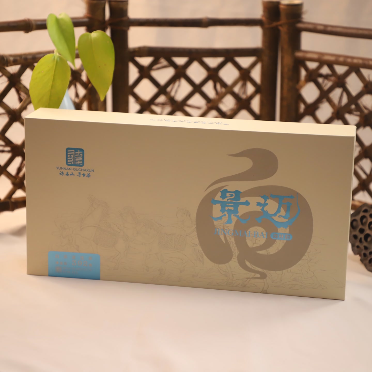 景迈森林韵 392克白茶 古茶寻