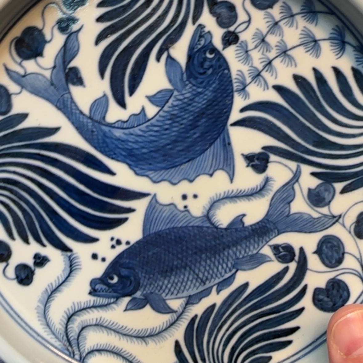 【闪购商品】瓷片景德镇市浮梁县，景德镇市浮梁县