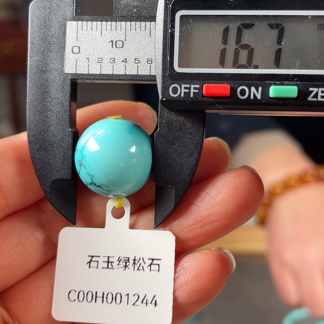 绿松石颈饰未镶嵌