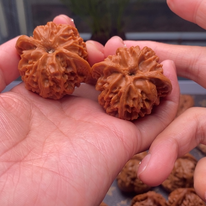 Q***松文玩核桃把件苹果