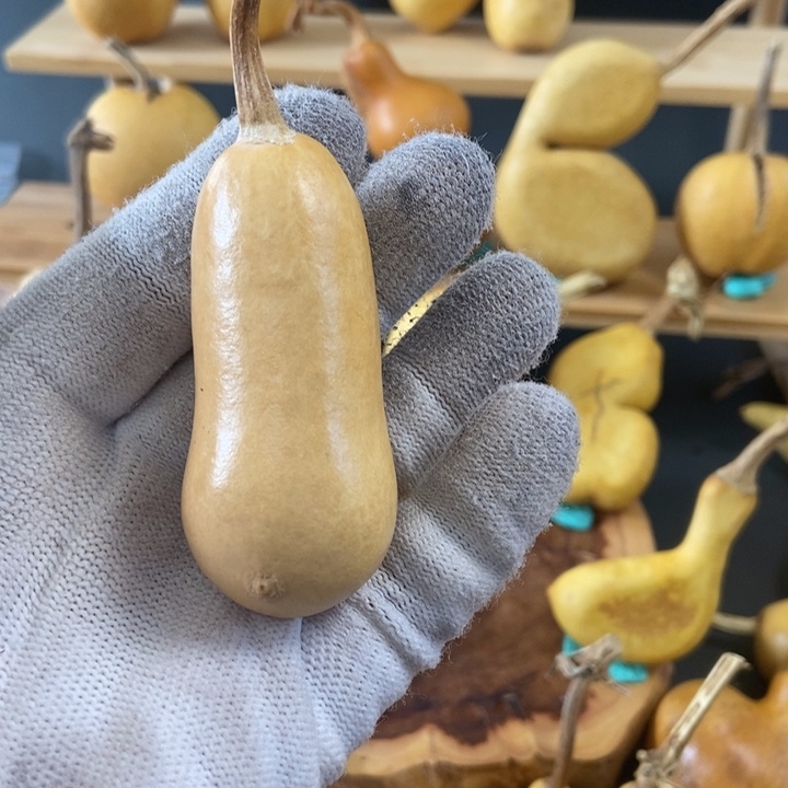 一***布葫芦葫芦真的