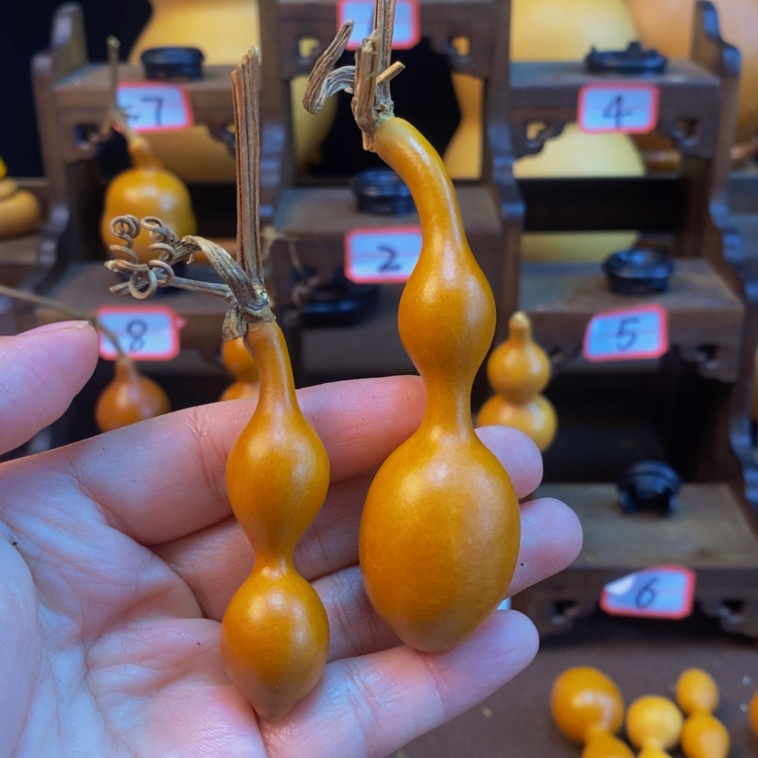 哟***呢木咕噜咕噜户提葫芦