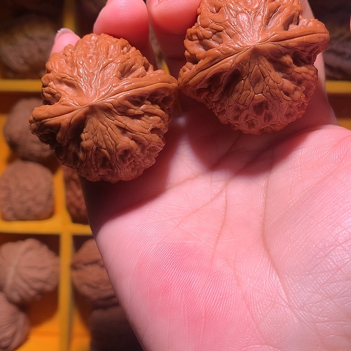 ****颜大叶紫檀（黑酸枝木类）