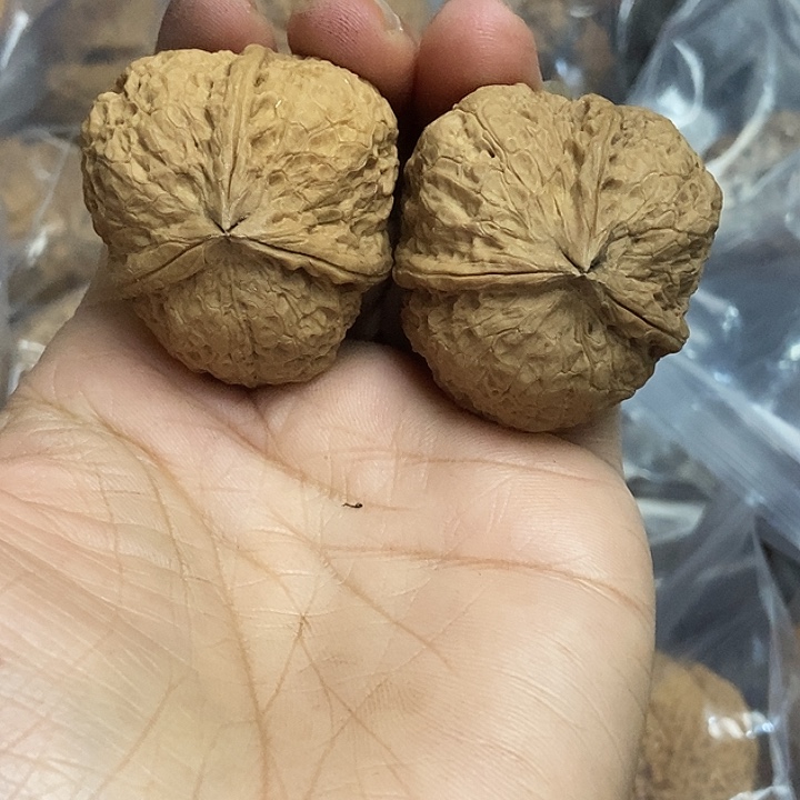 把件文玩核桃云南铁核桃基地32