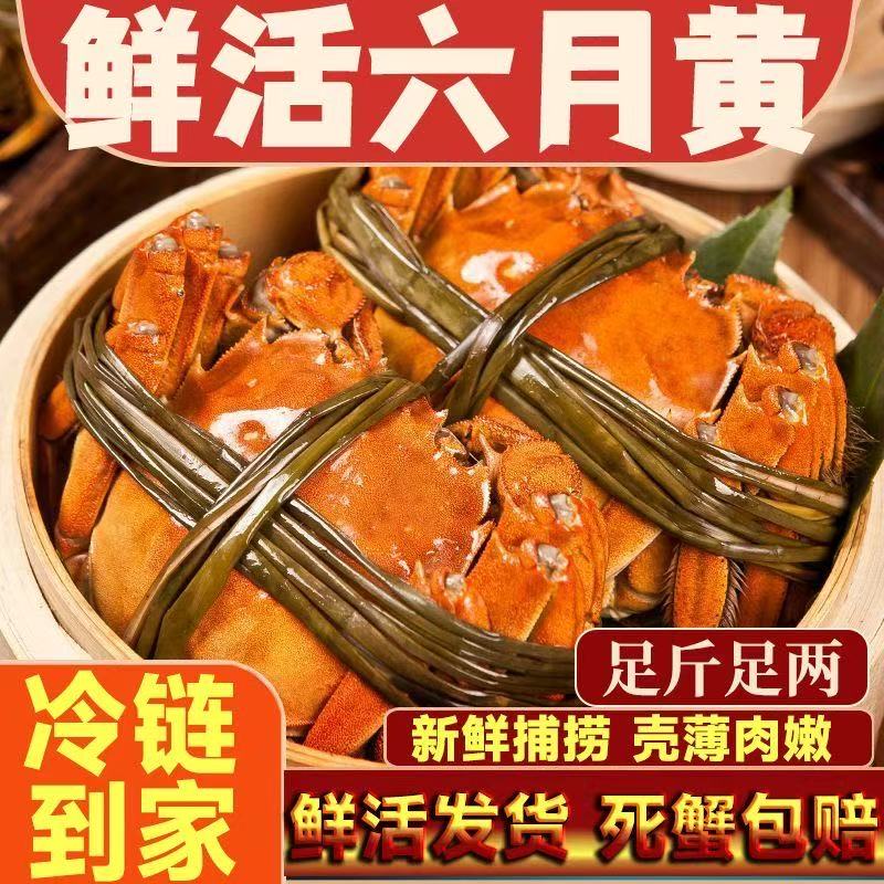 江苏正宗六月黄个体肥美买20只赠15只 到手35只总重1750g 试吃5只
