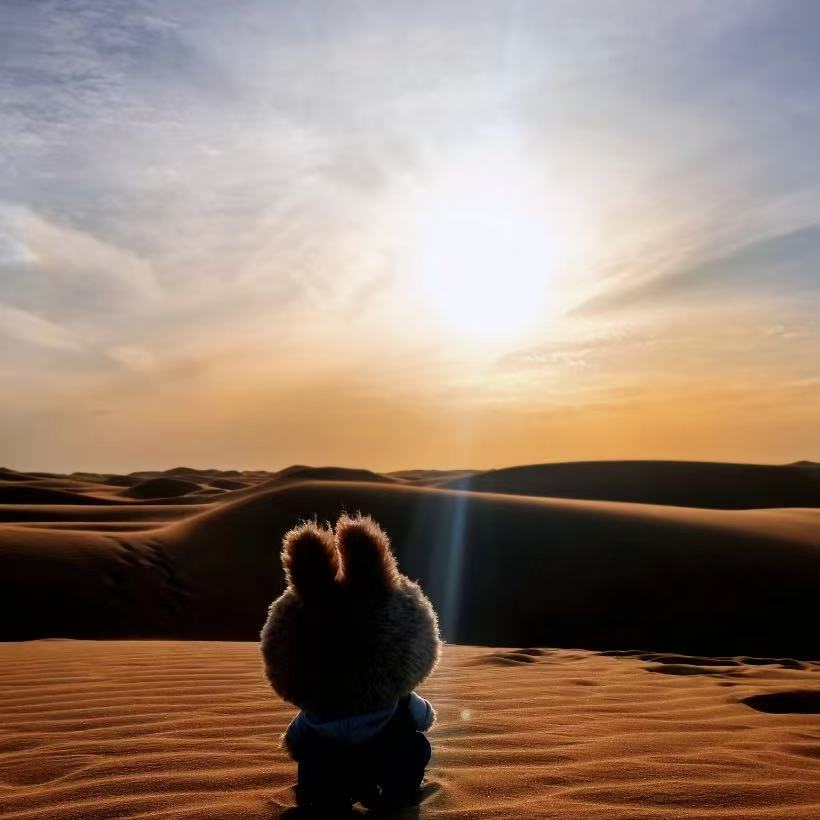 「值播拆盒」搪胶毛绒挂件 30号码 潮玩盲盒