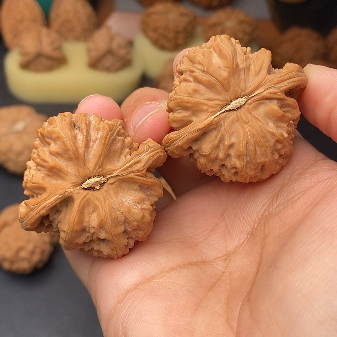 把件文玩核桃B****G白狮子