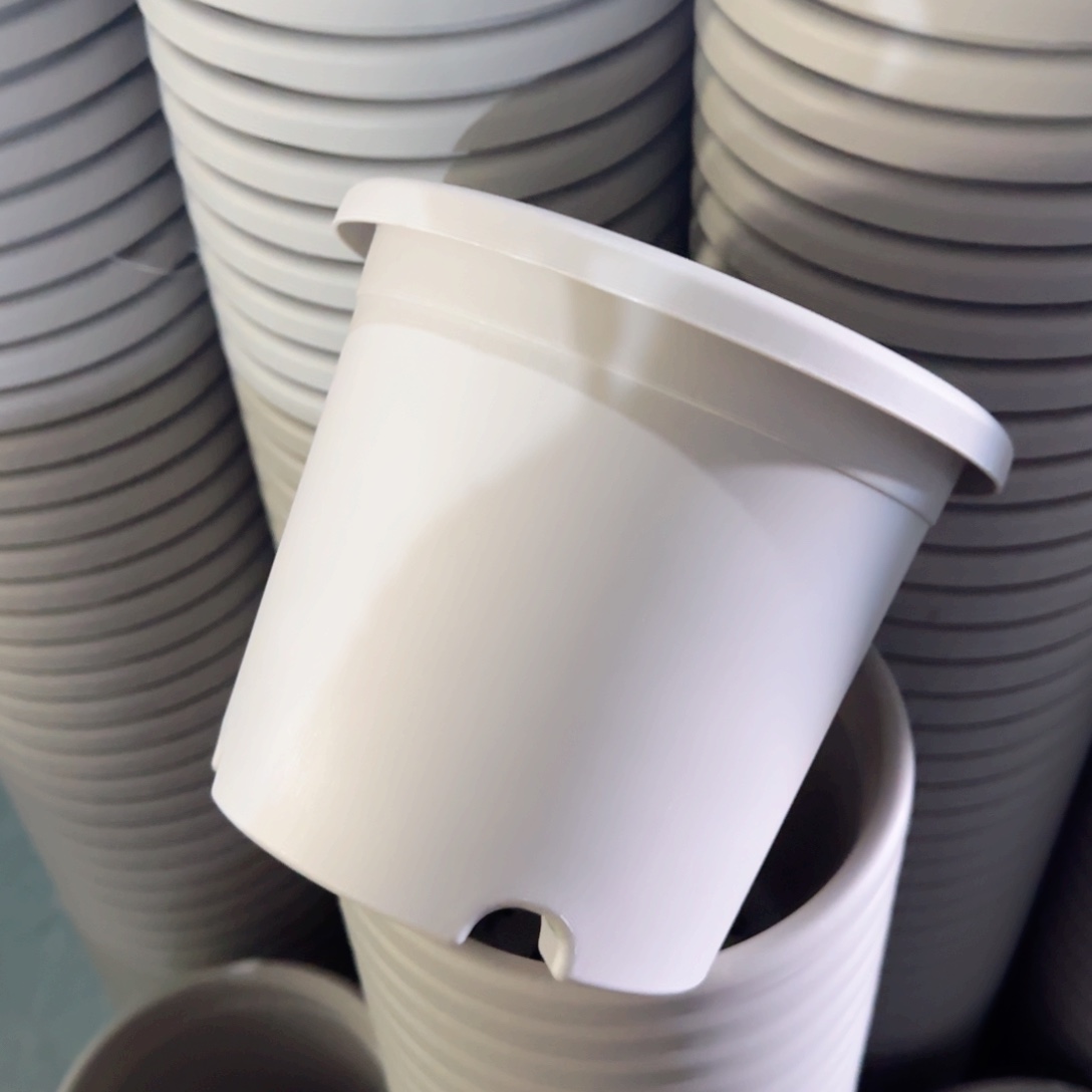 树脂特价2#无拖灰白13个