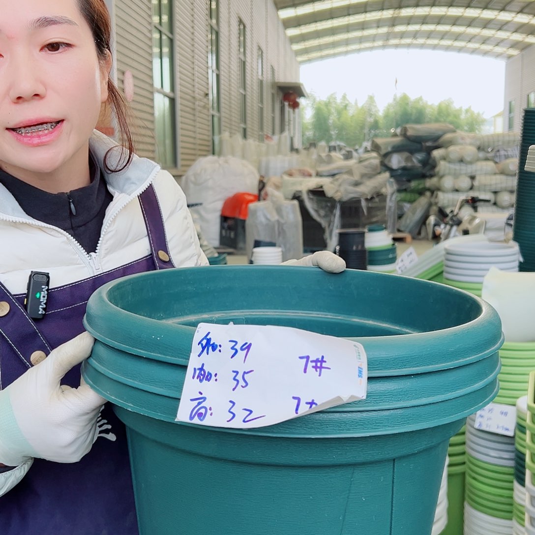 青山盆7#墨绿5个无托