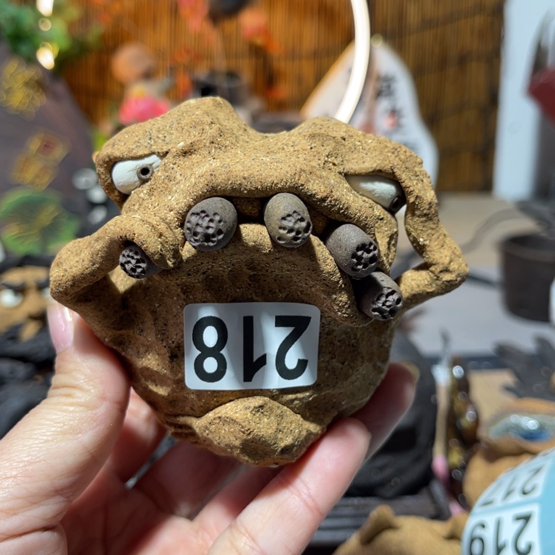 木村信弘柴烧保平