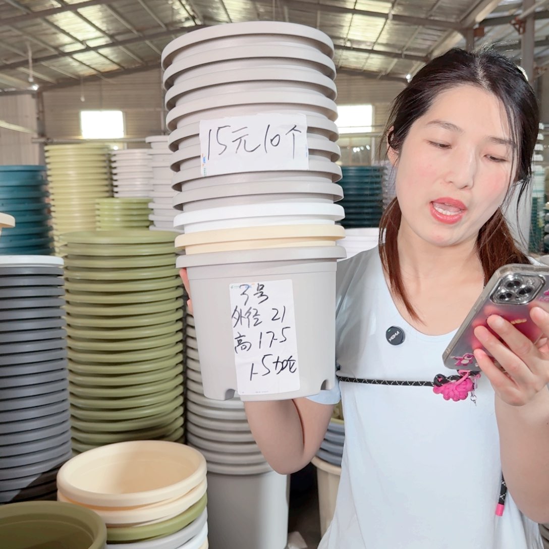 微瑕3#无拖灰白10个