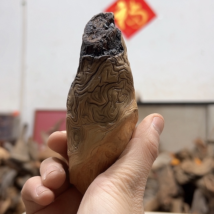 柏木空*我们的生活也是如此