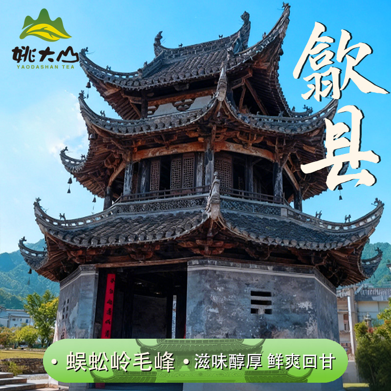 【姚大山】2025蜈蚣岭毛峰  一级绿茶 茶叶