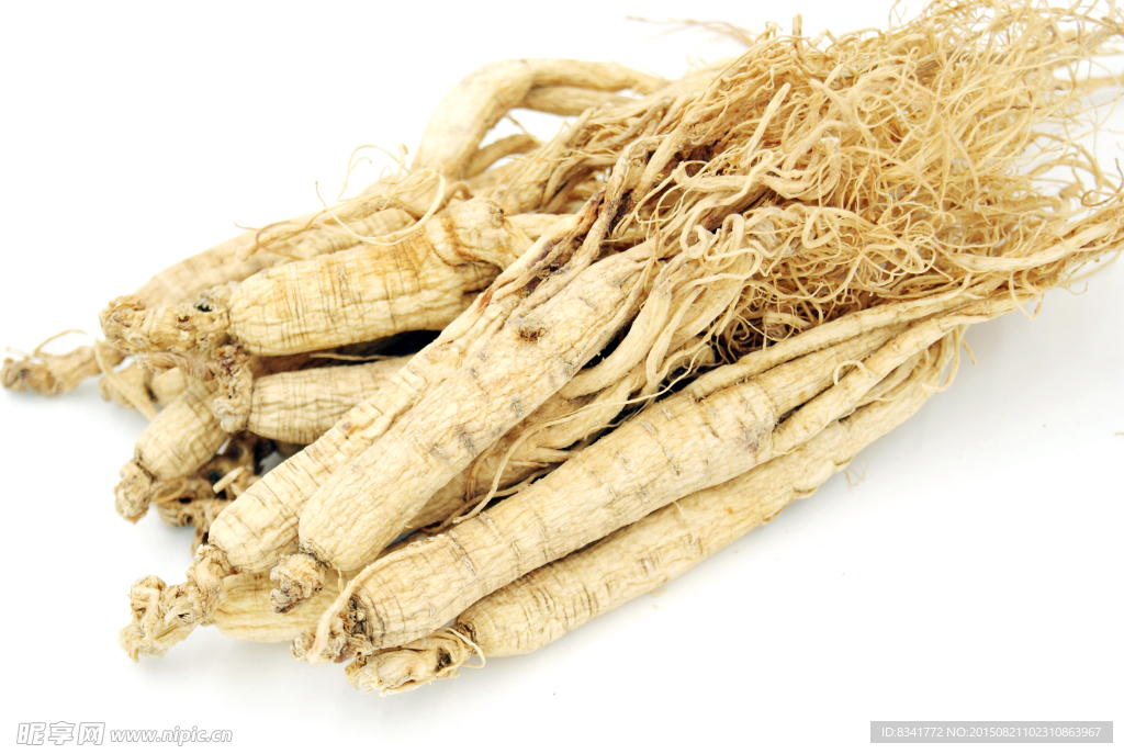 长白山鲜人参东北特产