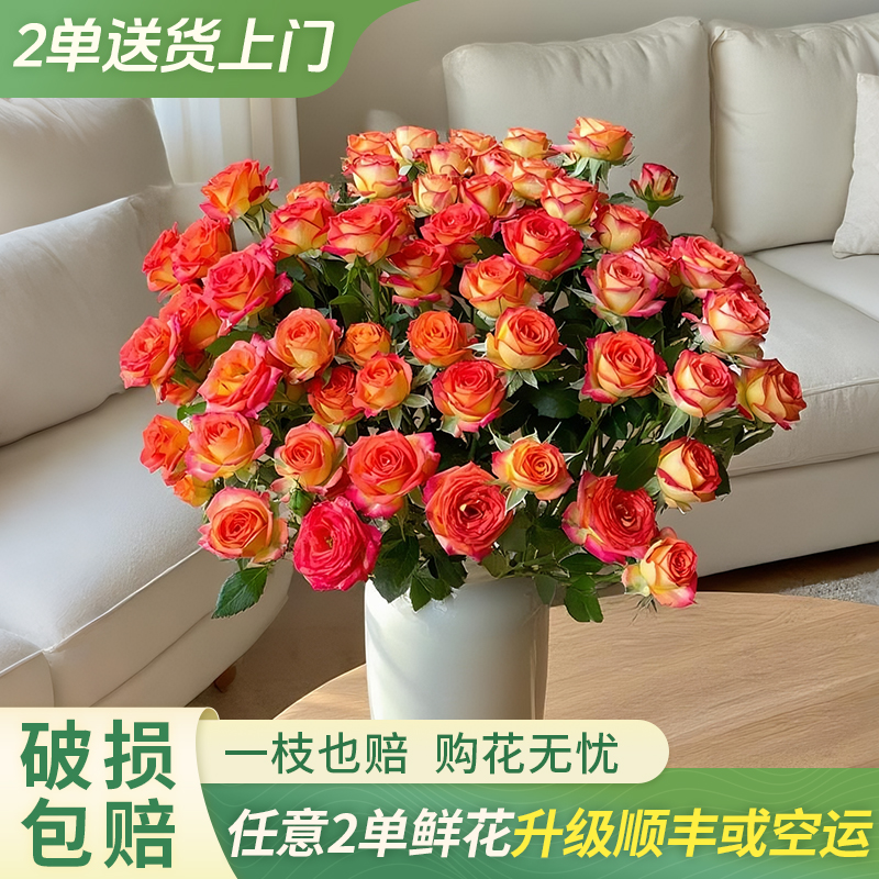 【大聪明卖花】爱丽丝多头玫瑰-任意两单鲜花升级快递-元旦福利