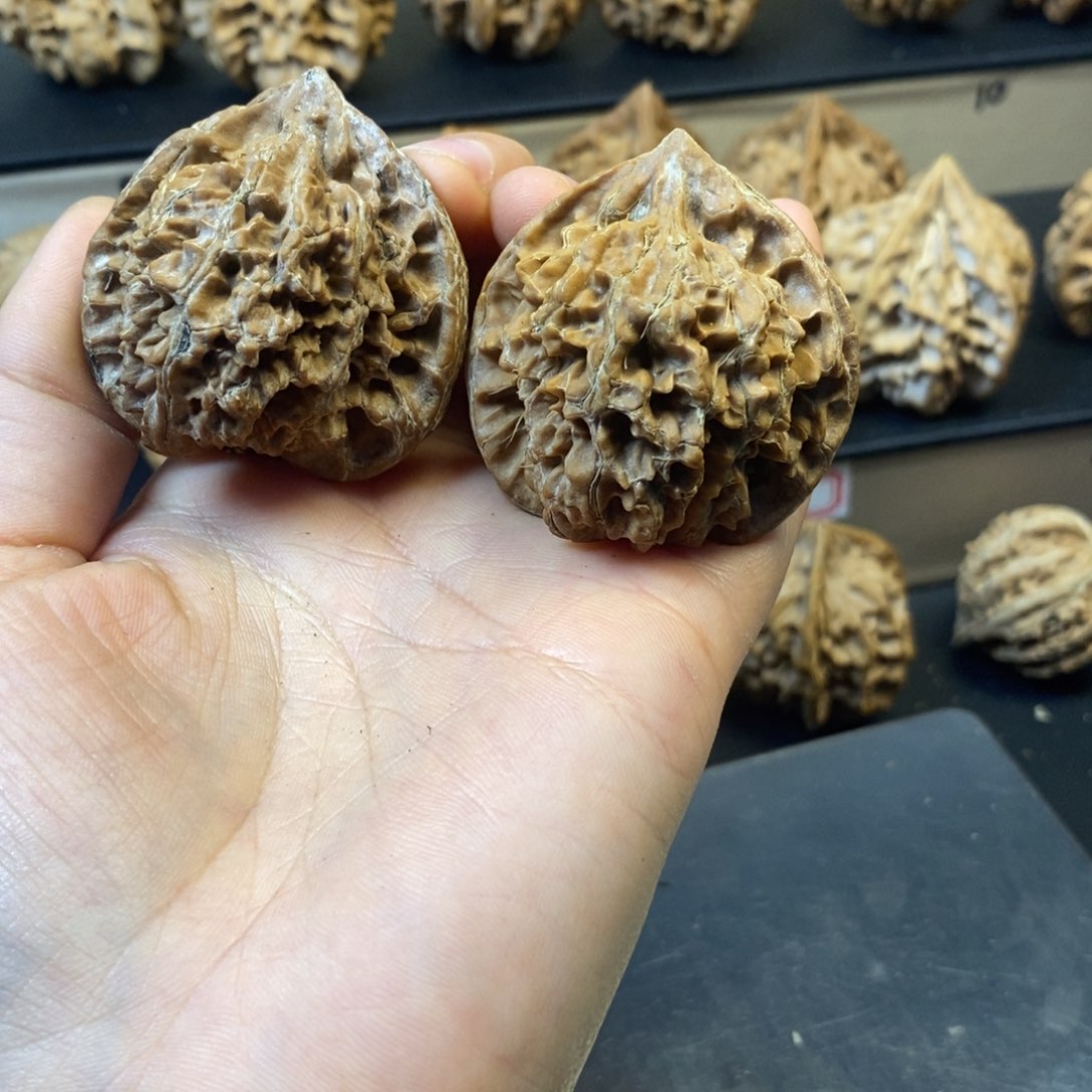 桃核吊坠秦岭薄楞42全品