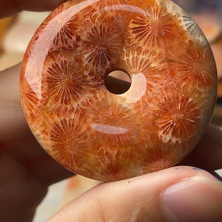 南***落硅化玉未镶嵌颈饰