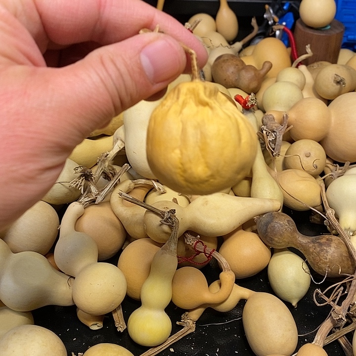 陌*精品葫芦手把葫芦53