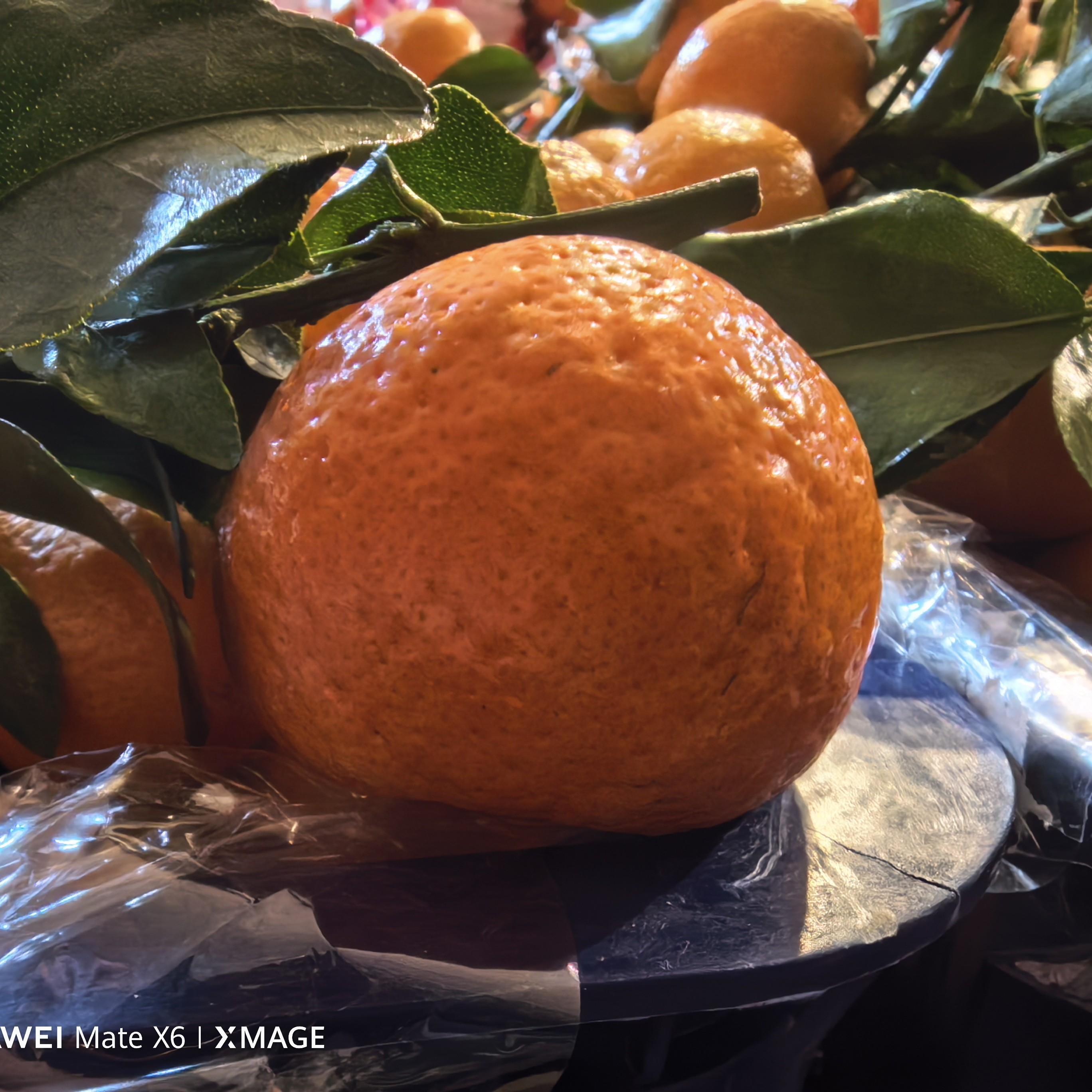 小富水果沙糖桔3斤辽宁省