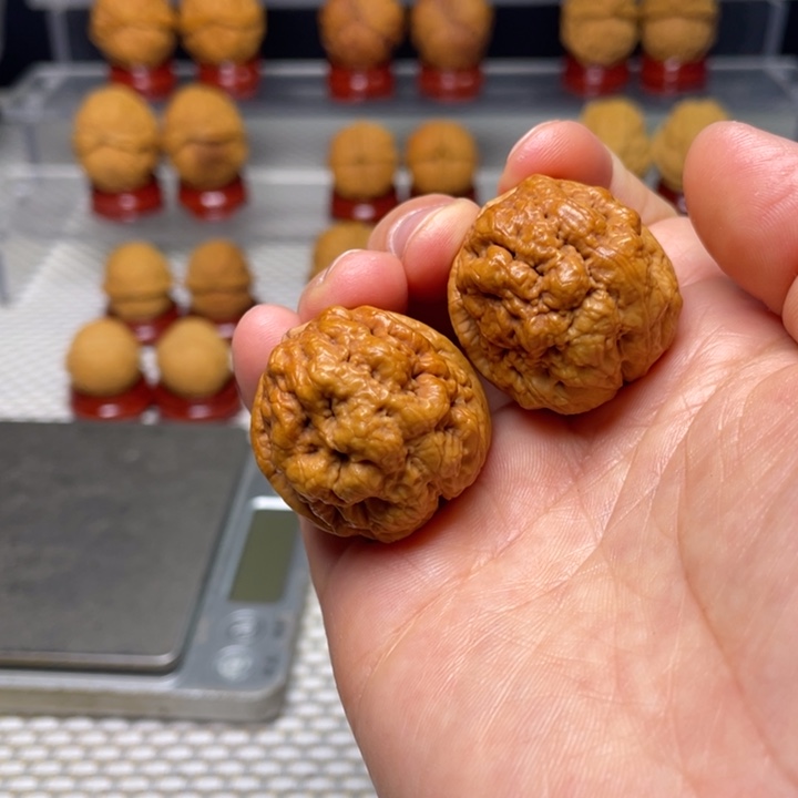 文玩核桃把件14血舍利