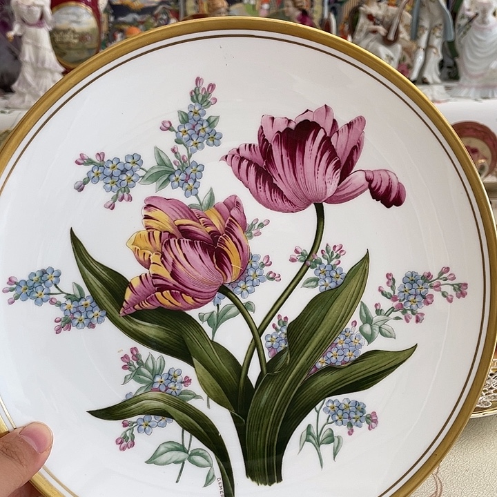 盘维多利亚欧洲中古