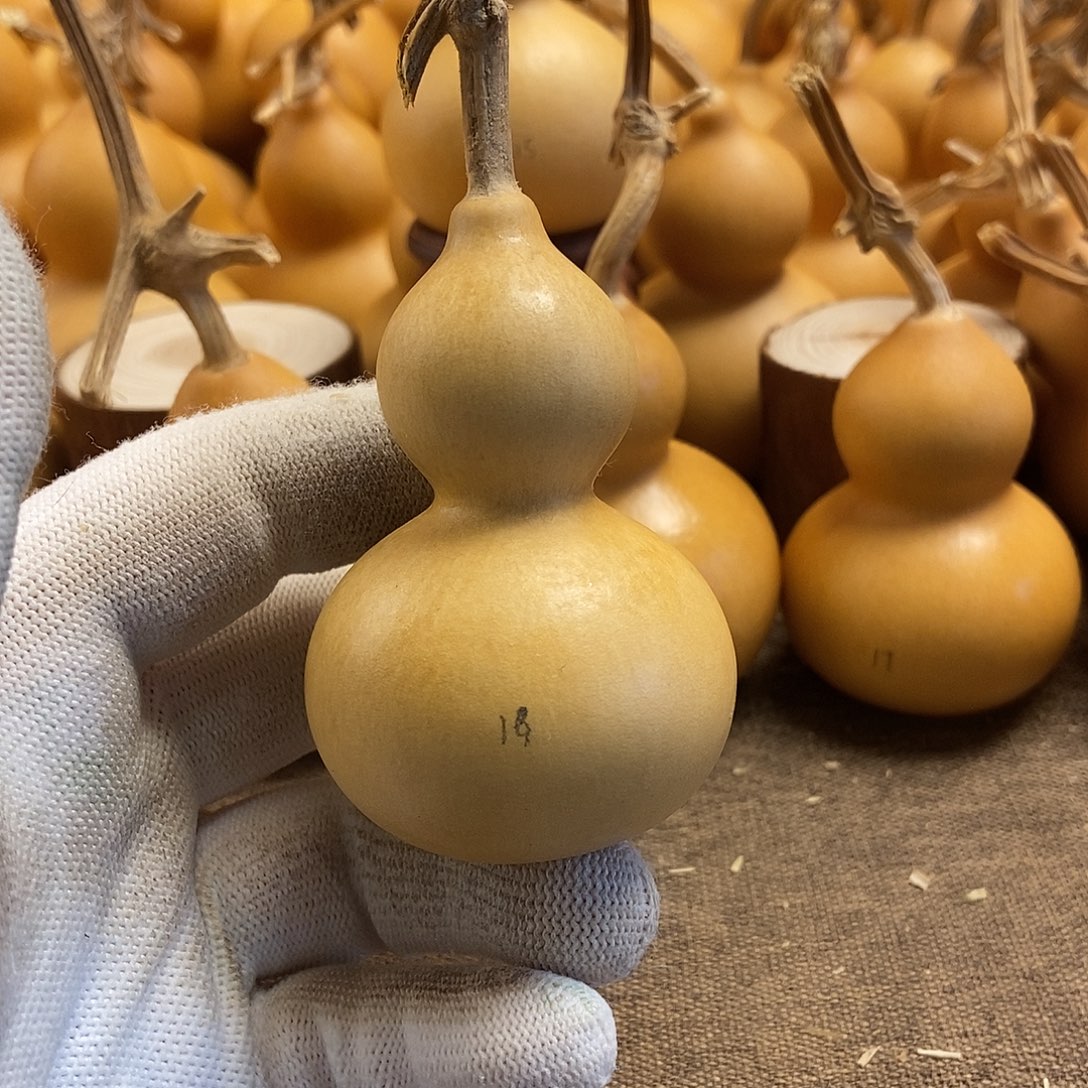 文玩葫芦 完美主义者 慎拍19