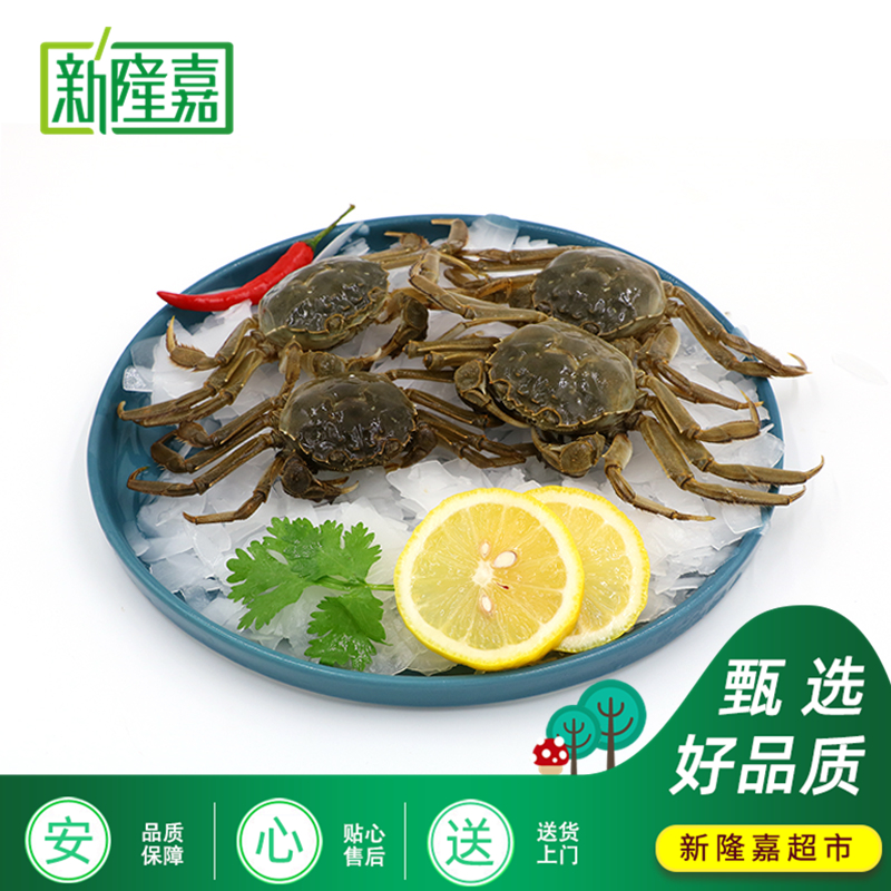 【天丰店 】 鲜活 河蟹公 2两左右/只 2斤/3斤/5斤（送货上门）