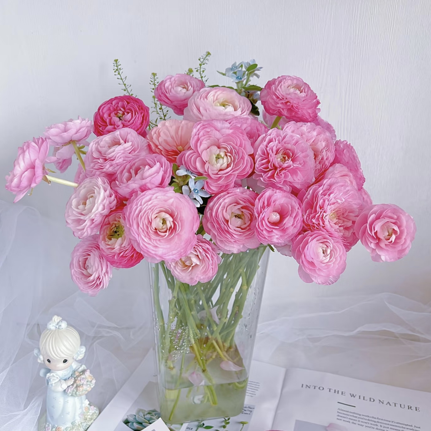 【黄梦宇】粉色洋牡丹 全场鲜花任意满两单及以上包邮送货上门