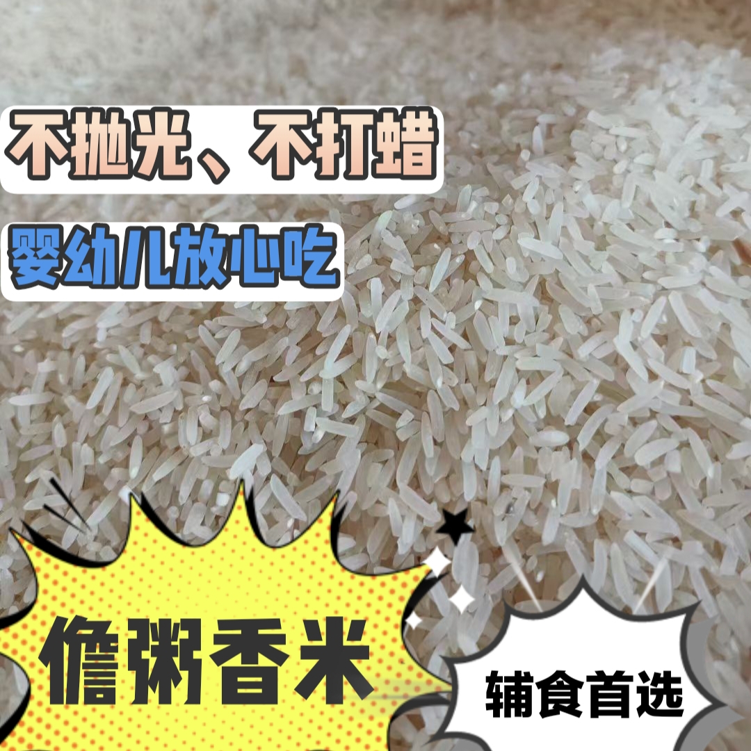 【儋粥香米】煮粥浓稠软糯婴儿粥当季新米