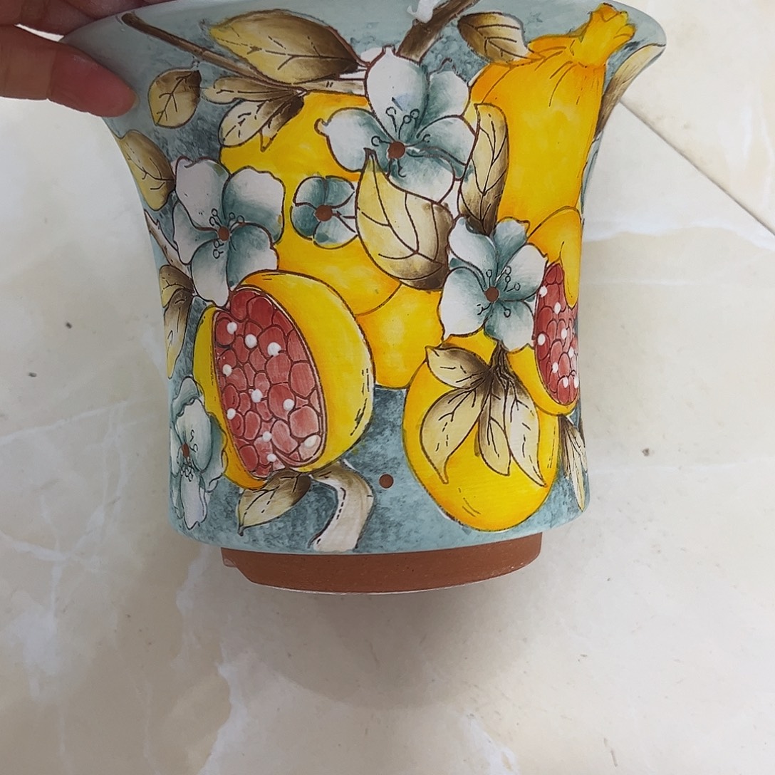 小***飞景德镇炫彩手绘口16.5