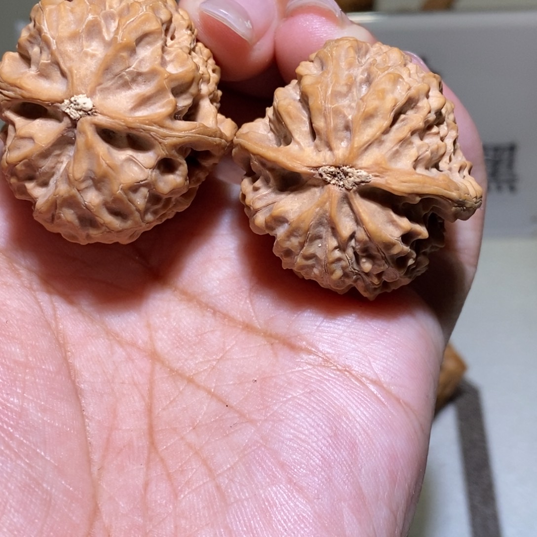 电***影核桃手串/手链沈鸡